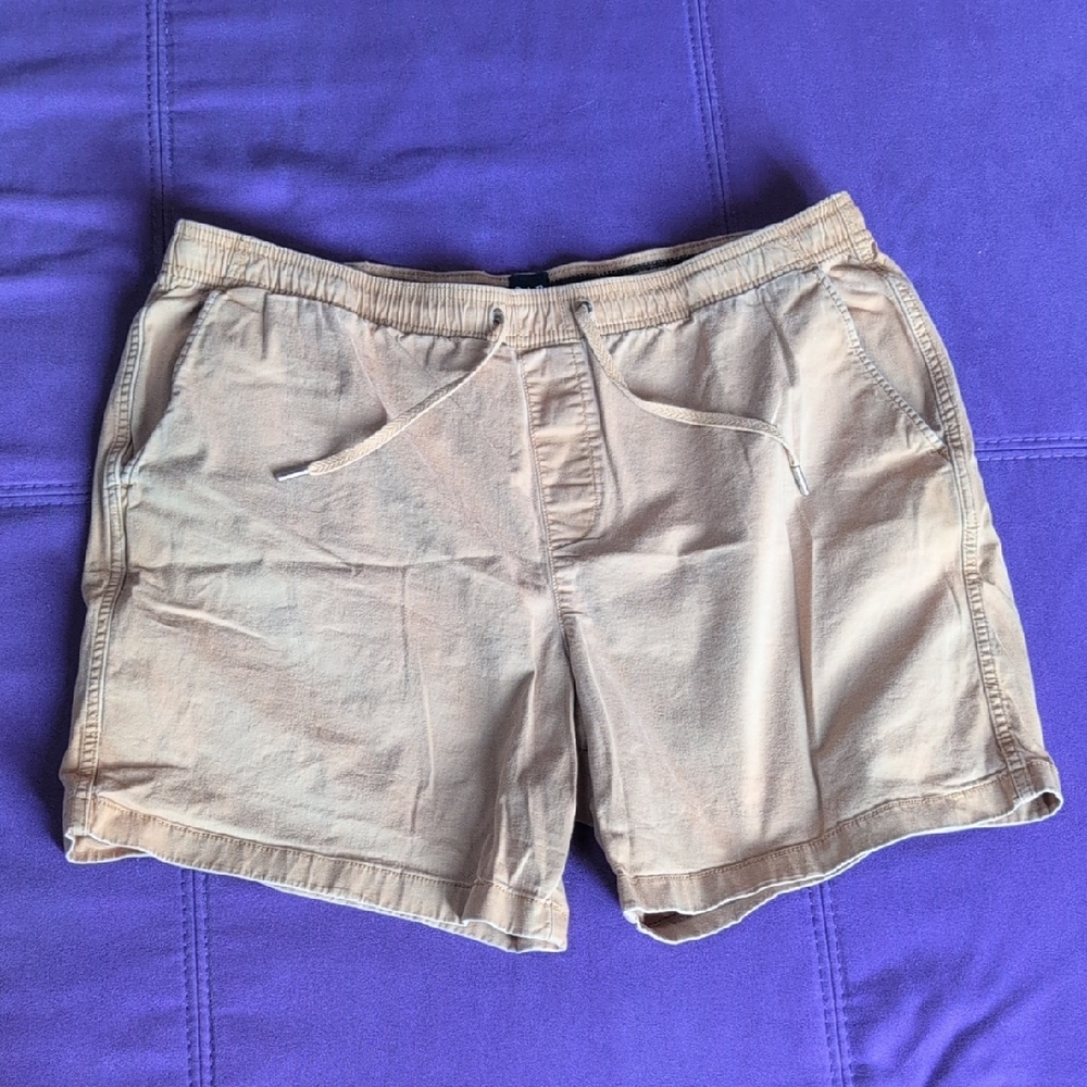 GAP Tan Men's Flat Front Shorts